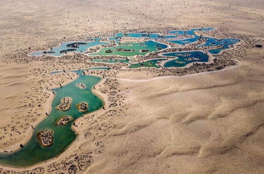  Al Qudra Lakes : escapade nature à moins d’une heure de Dubai