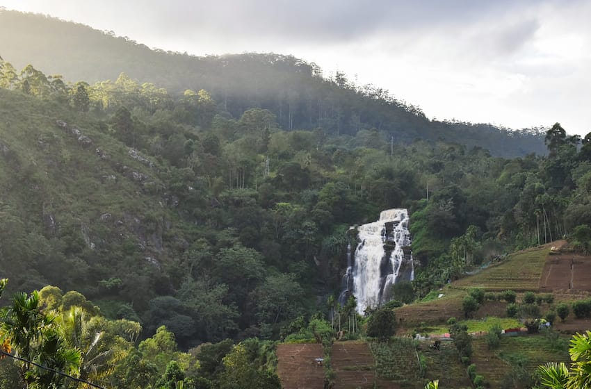 randonne dans la jungle Sri Lanka