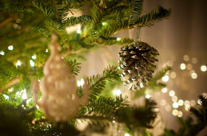 trouver un vrai sapin de noël à Dubai