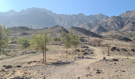 sentier de vit à hatta