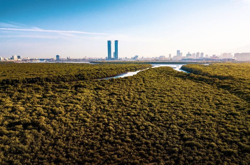 visiter ras al khaimah