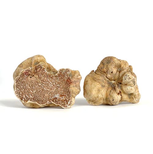 truffe blanche dubai