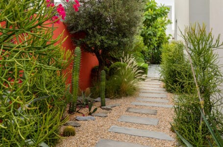 dubai service de paysagisme