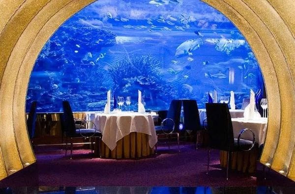 l'olive at al mahara diner sous l'eau