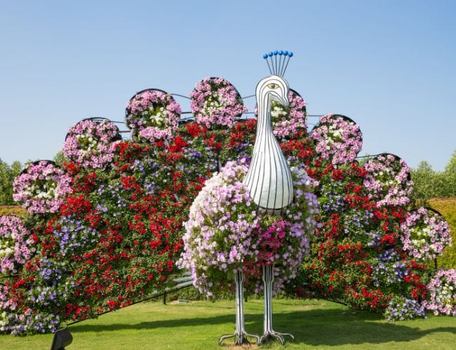 activités à faire en famille