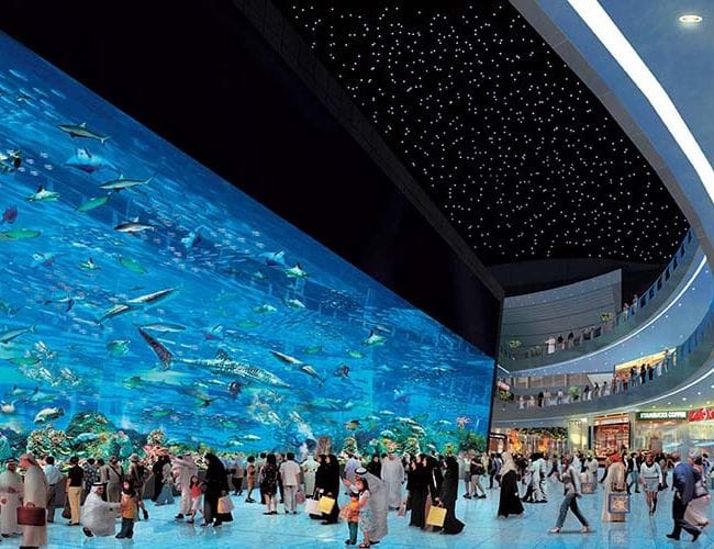 dubai aquarium the dubai mall