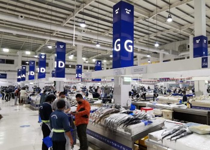 étale de poisson Deira