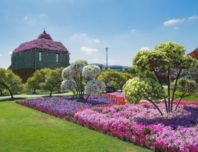 miracle garden activités à dubai