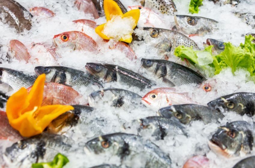  Les poissonneries à Dubai : Où acheter du poisson frais à Dubai et des produits de la mer ?