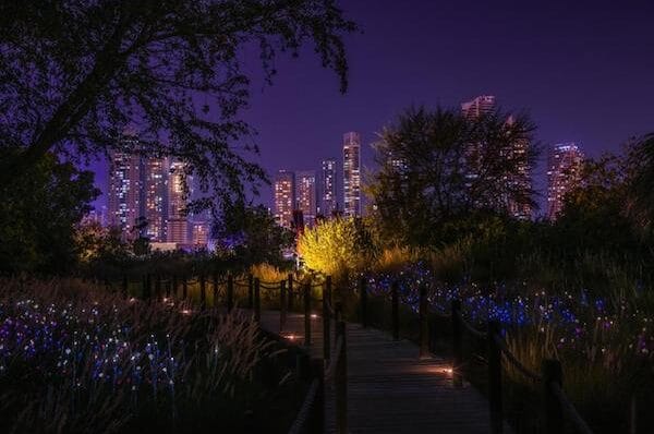 the Chedi al bait by night
