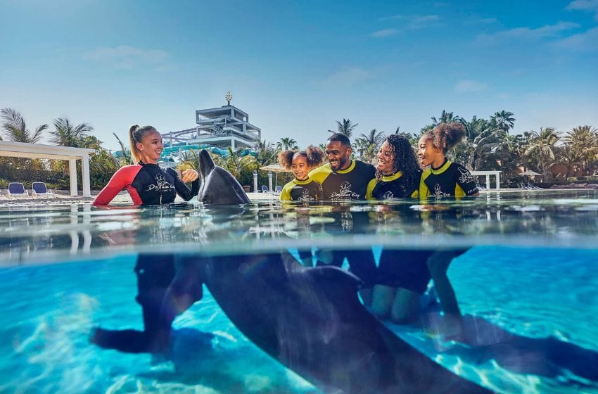 nager avec les dauphins à dubai