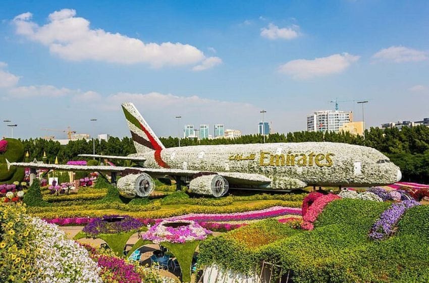 avion en fleur dubai
