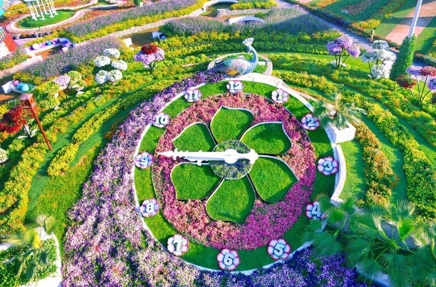 horloge en fleur dubai