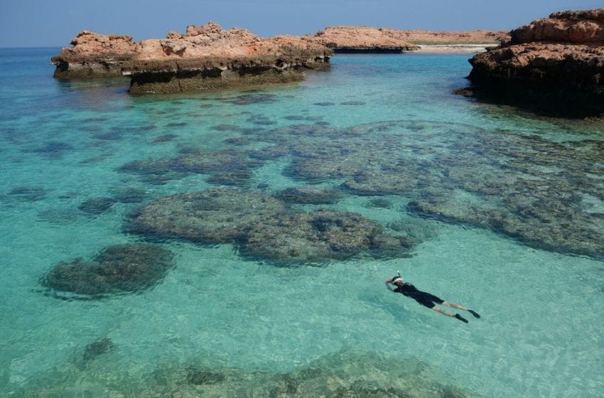 plongée en oman