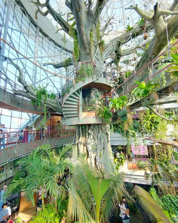 zoo tropical à dubai