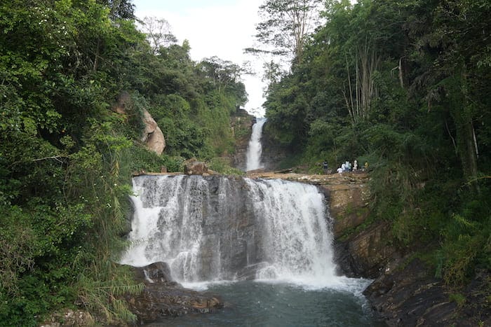 randonne dans la jungle Sri Lanka