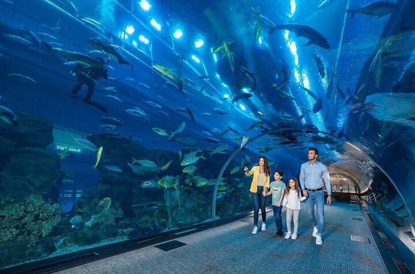 visiter underwater zoo et son tunnel à l'aquarium de Dubai Mall